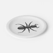 Assiettes En Carton Ant (Angle)