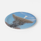 Assiettes En Carton Antenne Apollo Deep Space Disc (Angle)