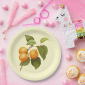 Assiettes En Carton Apricots orange vintage (Fête)