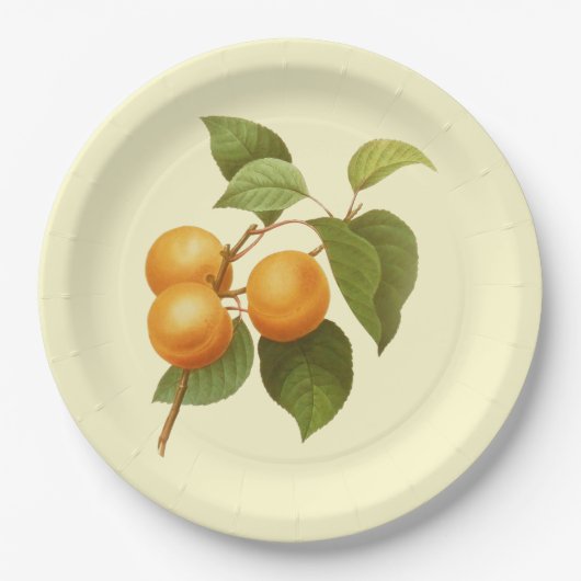 Assiettes En Carton Apricots orange vintage (Devant)