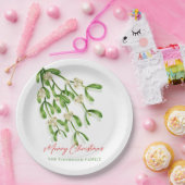 Assiettes En Carton Aquarelle Joyeux Noël Berry Branches (Fête)