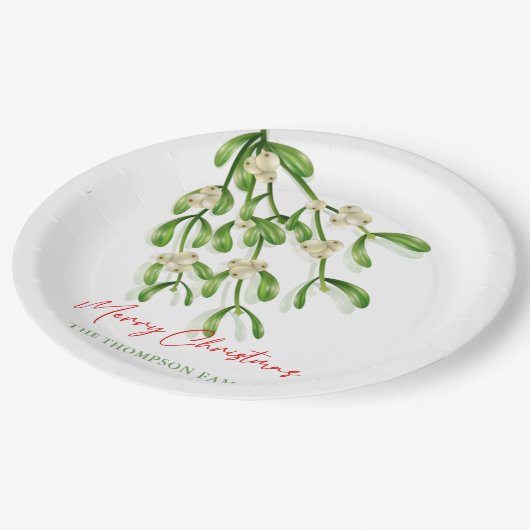 Assiettes En Carton Aquarelle Joyeux Noël Berry Branches (Angle)