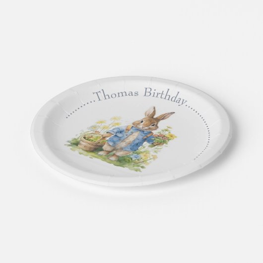 Assiettes En Carton Aquarelle Peter Rabbit Anniversaire (Angle)