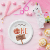 Assiettes En Carton Aquarelle Rustique Un 1er anniversaire Petit Citro (Fête)