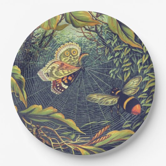 Assiettes En Carton Araignée papillon jardin vintage (Devant)