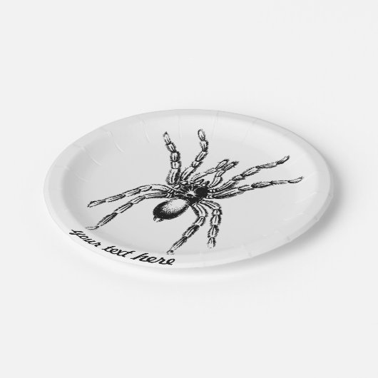 Assiettes En Carton araignée tarantule (Angle)
