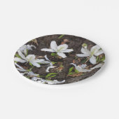 Assiettes En Carton Arbre (Angle)