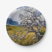 Assiettes En Carton Arbre brûlé, Torres del Paine, Chili (Devant)