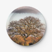 ASSIETTES EN CARTON ARBRE D'HIVER (Devant)