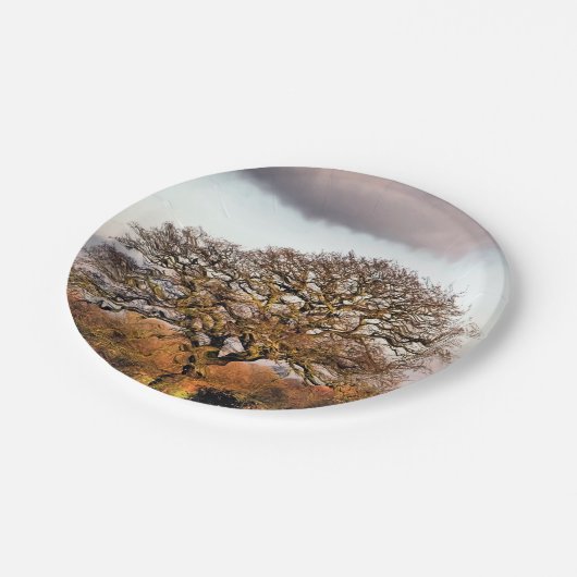 ASSIETTES EN CARTON ARBRE D'HIVER (Angle)