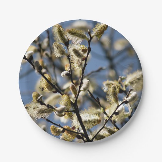 ASSIETTES EN CARTON ARBRE SAUVAGE (Devant)