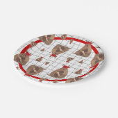 Assiettes En Carton Armadillo, diplômé du Texas rouge (Angle)