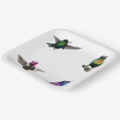 Assiettes En Carton Arrière - plan de la plaine des colibris (Angulaire)