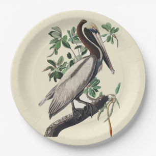 Assiettes En Carton Art Vintage Audubon Pélican Brun Oiseau de Rivage