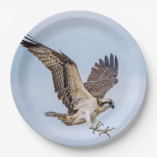 Assiettes En Carton Atterrissage d'Osprey dans le nid