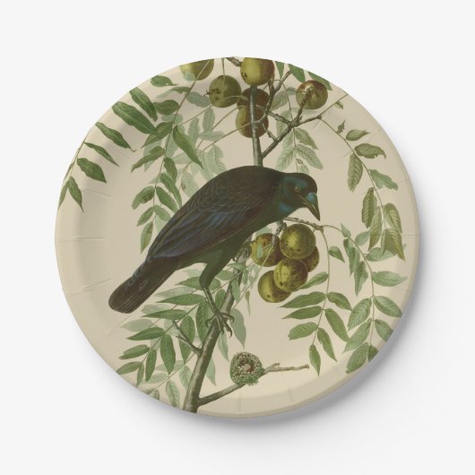 Assiettes En Carton Audubon American Crow Black Bird (Devant)