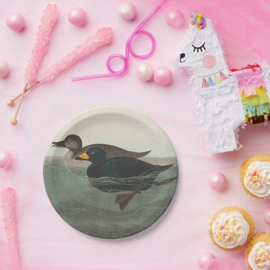 Assiettes En Carton Audubon American Scoter Duck Classic (Fête)