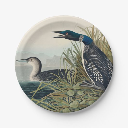 Assiettes En Carton Audubon Bird Loon Diver Classic (Devant)