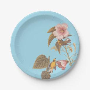 Assiettes En Carton Audubon Bleu aile Jaune Paruline Oiseau