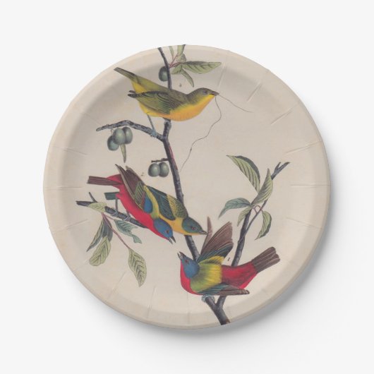 Assiettes En Carton Audubon Peint Bunting Bird Wildlife (Devant)