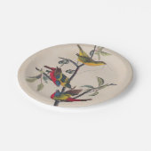 Assiettes En Carton Audubon Peint Bunting Bird Wildlife (Angle)