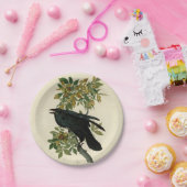 Assiettes En Carton Audubon Raven Oiseau classique (Fête)