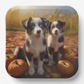 Assiettes En Carton Australian Shepherd Puppy Citrouille de plaisir d' (Recto)
