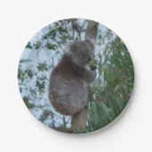 Assiettes En Carton Australie Kangaroo Island Cute Koala dans un arbre (Devant)