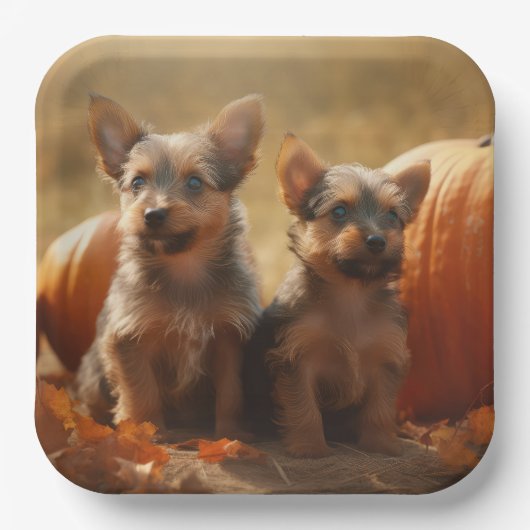 Assiettes En Carton Australien Terrier Chiot Automne Citrouille de pla (Recto)