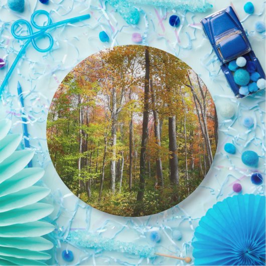 Assiettes En Carton Automne Forêt I Automne Paysage Photographie (Fête)