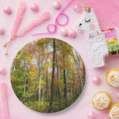 Assiettes En Carton Automne Forêt I Automne Paysage Photographie (Fête)