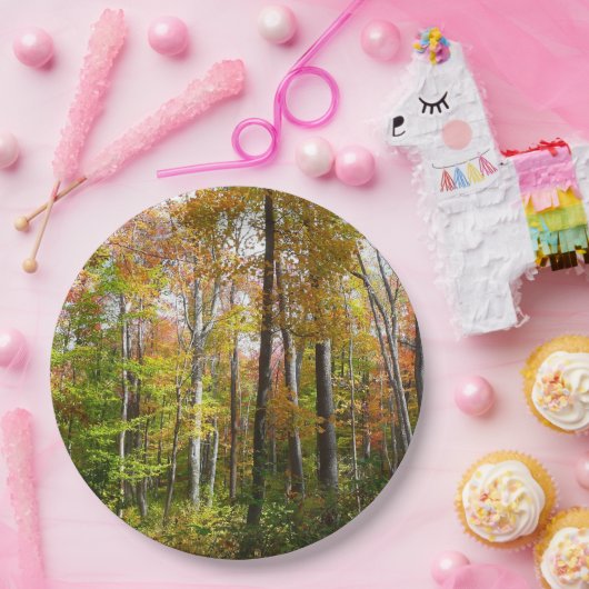 Assiettes En Carton Automne Forêt I Automne Paysage Photographie (Fête)