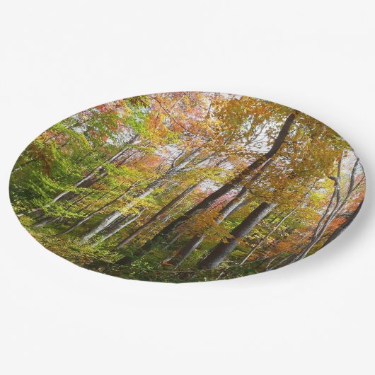 Assiettes En Carton Automne Forêt I Automne Paysage Photographie (Angle)