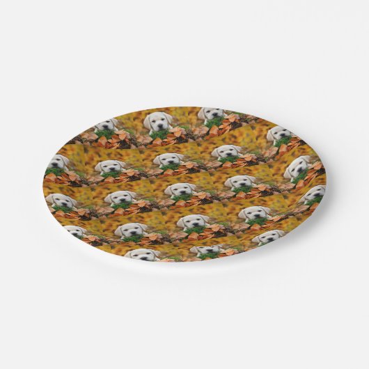 Assiettes En Carton Automne Labrador (Angle)
