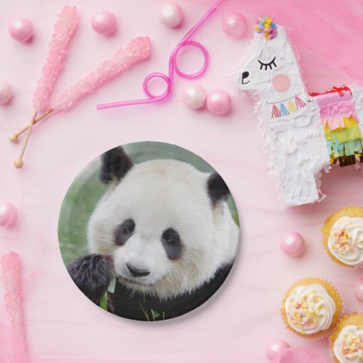 Assiettes En Carton Avion en papier Photo panda géant 0309. (Fête)