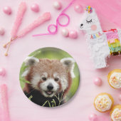 Assiettes En Carton Avion en papier Photo panda rouge 0472. (Fête)