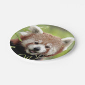 Assiettes En Carton Avion en papier Photo panda rouge 0472. (Angle)