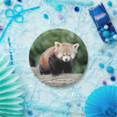 Assiettes En Carton Avion en papier Photo panda rouge 0473. (Fête)