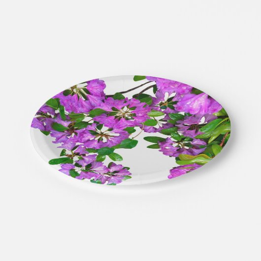 Assiettes En Carton azalée violette rose (Angle)