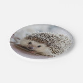 Assiettes En Carton Baby hedgehog (Angle)