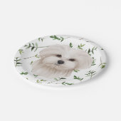 Assiettes En Carton Baby shower Boho vert chien maltais blanc (Angle)