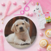 Assiettes En Carton Baby Yellow Labrador Puppy Dog posé sur le ventre (Fête)