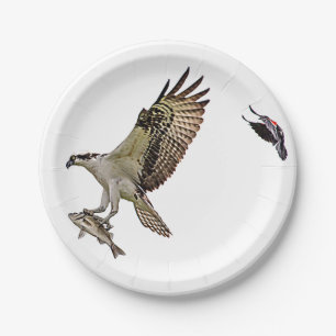 Assiettes En Carton Balbuzard chassé par un merle à ailes rouges