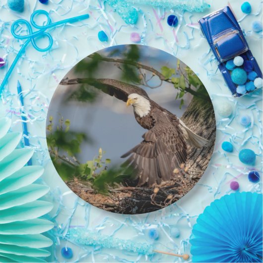Assiettes En Carton Bald Eagle quittant le nid (Fête)