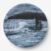 Assiettes En Carton Baleine de Sperm (Devant)