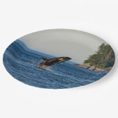 Assiettes En Carton Baleine tueuse qui s'attaque à l'eau d'océan (Angle)