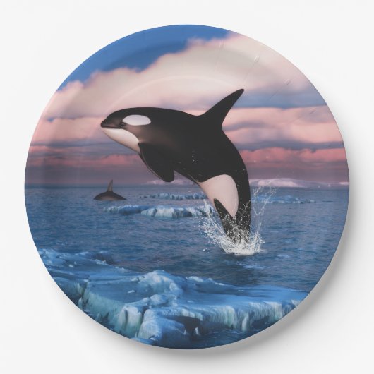 Assiettes En Carton Baleines Tueuses Dans L'Océan Arctique (Devant)