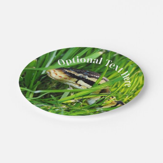 Assiettes En Carton Ball Python serpent dans l'herbe (Angle)