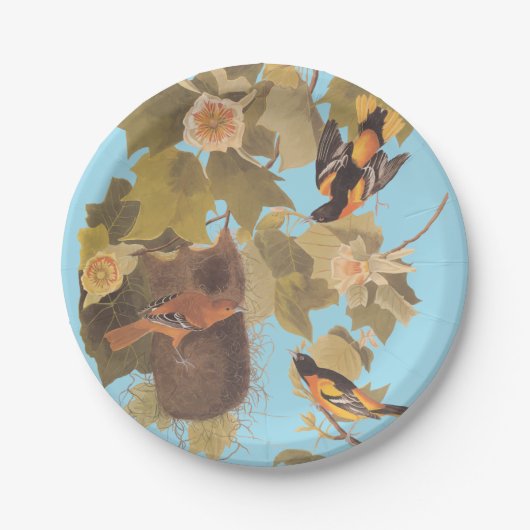 Assiettes En Carton Baltimore Oriole Audubon Bird Family avec nid (Devant)