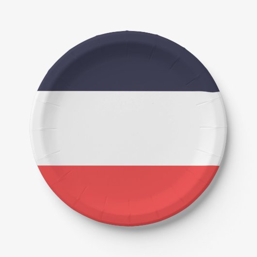 Assiettes En Carton Bandes bleues blanches et rouges Fête rayée (Devant)